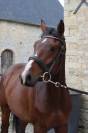 Neiti Casallo 4 ans