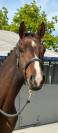 Neiti Casallo 4 ans