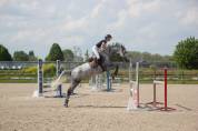 Jument 6 ans CSO