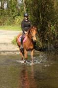 Ponette D PP 5 ans loisir/sport