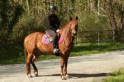Ponette D PP 5 ans loisir/sport