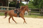 Ponette D PP 5 ans loisir/sport