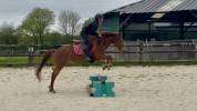 Ponette D PP 5 ans loisir/sport