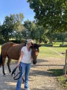 hongre de 4 ans &ndash; Gentil, volontaire 