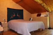 PROPRIETE DE 10 HECTARES AVEC MAISON TARN ET GARONNE