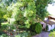 PROPRIETE DE 10 HECTARES AVEC MAISON TARN ET GARONNE