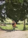 Maison pour chevaux - Quiers sur bezondes