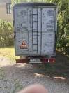 Iveco Daily 2.5 Turbo Diesel 1993