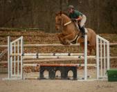 Cheval CSO