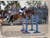 Cheval CSO