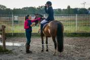 Pension et demi pension &agrave; Maisons-laffitte AZ Coaching