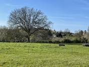 Palefrenier soigneur + entretien espaces verts