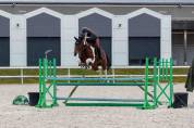  Jument CSO 10 ans &ndash; Zangersheide 