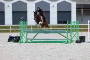 Jument CSO 10 ans &ndash; Zangersheide 