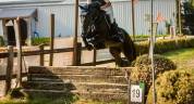 Superbe hongre polyvalent &agrave; vendre