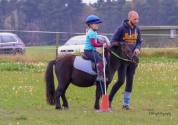 Stages d'&eacute;t&eacute; au Poney club de Buisseret