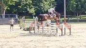 TOP Jument SF par Qlassic Bois Margot