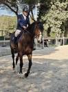 TOP Jument SF par Qlassic Bois Margot