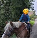 Ponette de loisir 12 ans 1m37