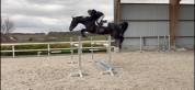 6ans hongre SF pour 130