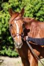 MOUDA - 1m64 - 5ans