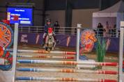 A vendre Poney B - PFS - CSO