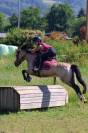 A vendre Poney B - PFS - CSO