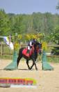 Poney SHETLAND 1M10