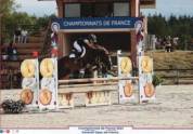 Welsh cob 11 ans