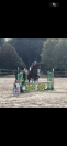 Cheval 5ans d&rsquo;avenir CSO  