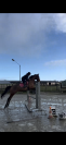 Cheval 5ans d&rsquo;avenir CSO  