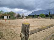 B&acirc;timent agricole sur 1.2ha -Ecuries aux portes de B&eacute;ziers