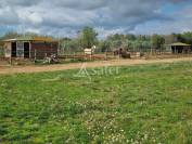 B&acirc;timent agricole sur 1.2ha -Ecuries aux portes de B&eacute;ziers
