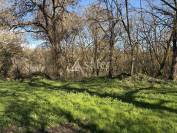 Propri&eacute;t&eacute; agricole avec 2 maisons sur 21ha