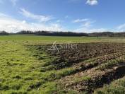 Propri&eacute;t&eacute; agricole avec 2 maisons sur 21ha