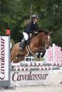 Poney de sport 