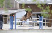 Poney de sport 