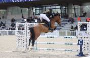 Poney de sport 