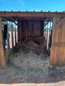 Pension paddock confort - Cheval loisir les Castans 