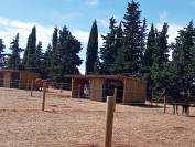 Pension paddock confort - Cheval loisir les Castans 