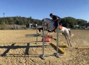 Poney de sport - Fantastique du meyras 