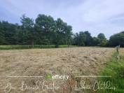 35235 - THORIGNE-FOUILLARD - 6 PI&Egrave;CES - 4,2 HECTARES