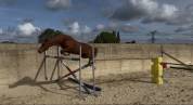 Ponette C 