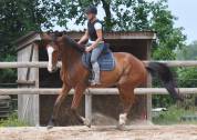 Cheval Mag Ness