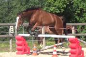 Cheval Mag Ness