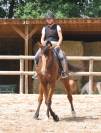 Cheval Mag Ness