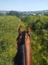 Cheval Mag Ness