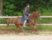 Poney Mazaak