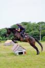 Top hongre AA 7 ans 1m70