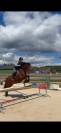 Lucky one de Burnand